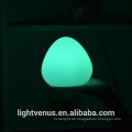 China Hersteller Hotel/Restaurant PE Material ModernTable Lampe